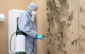 Best Comprehensive Air Testing for Mold Contaminants in USA